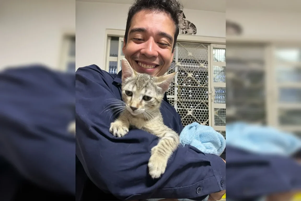 Justiça solta psicólogo acusado de torturar e matar gatos