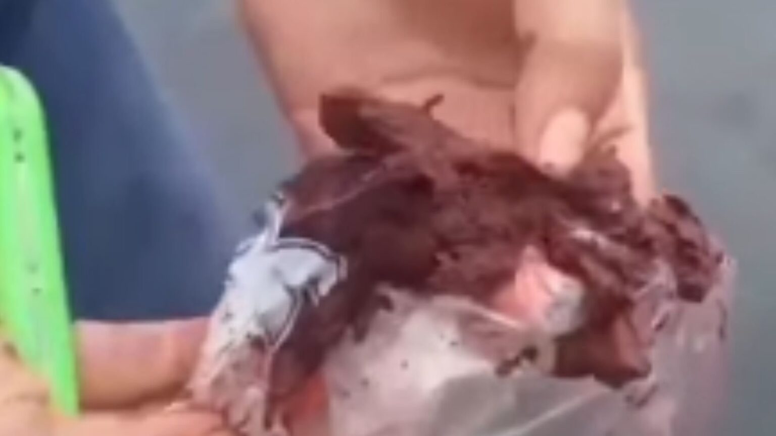 Homem faz denúncia sobre açaí adulterado
