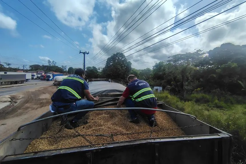 Sefa apreende cargas de milho e soja no Pará