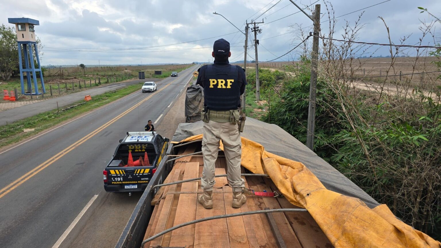 Caminhão com 40 m³ de acapu ilegal é apreendido na BR-155, em Marabá