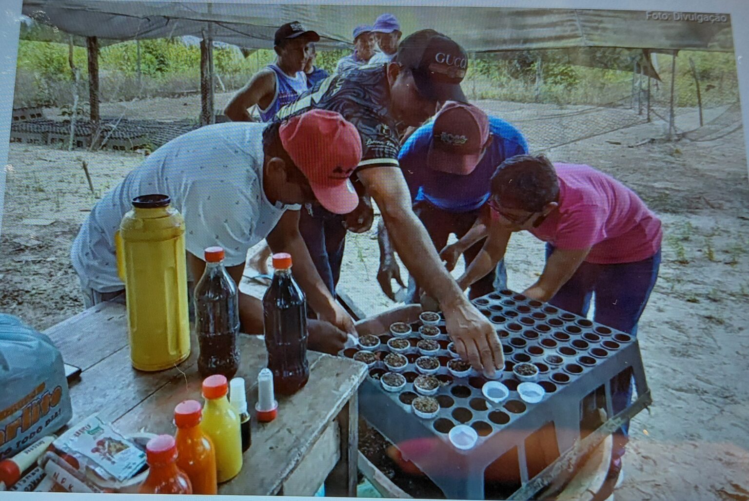 Emater realiza oficina de uso de adubo orgânico para agricultores de Capanema