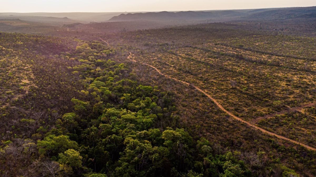 Brasil propõe mudar instituições, regras e setores pelo clima na COP 30