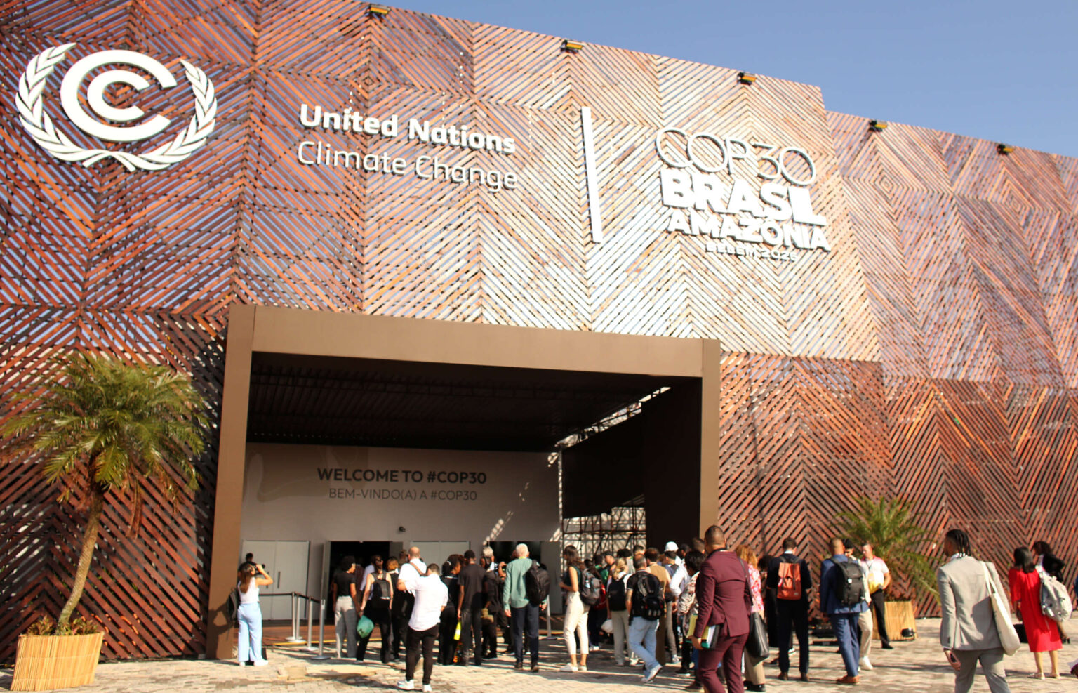 ONG lança projeto de inteligência artificial para jovens e leva experiência social à COP30