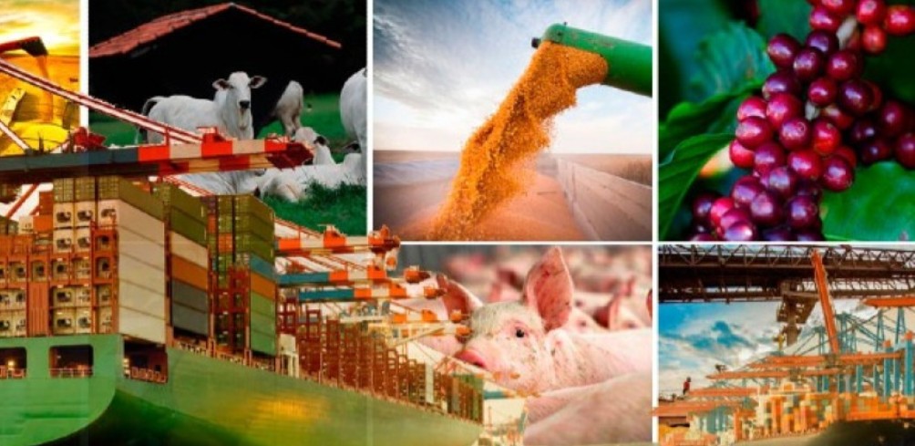 Exportações brasileiras do agronegócio para os EUA caem 31,3% e impactam municípios produtores