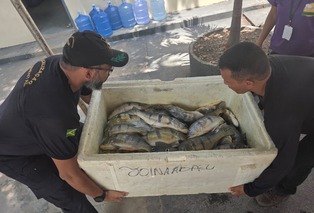 Prefeitura de Marabá reforça respeito à Piracema para preservar os peixes nos rios Tocantins e Itacaiúnas