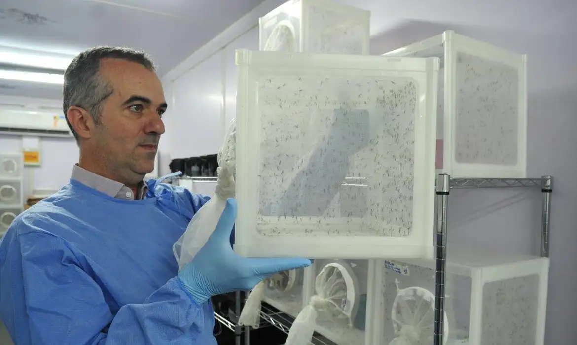 Brasileiro criador do “Aedes” que bloqueia dengue entra na lista de cientistas influentes de 2025