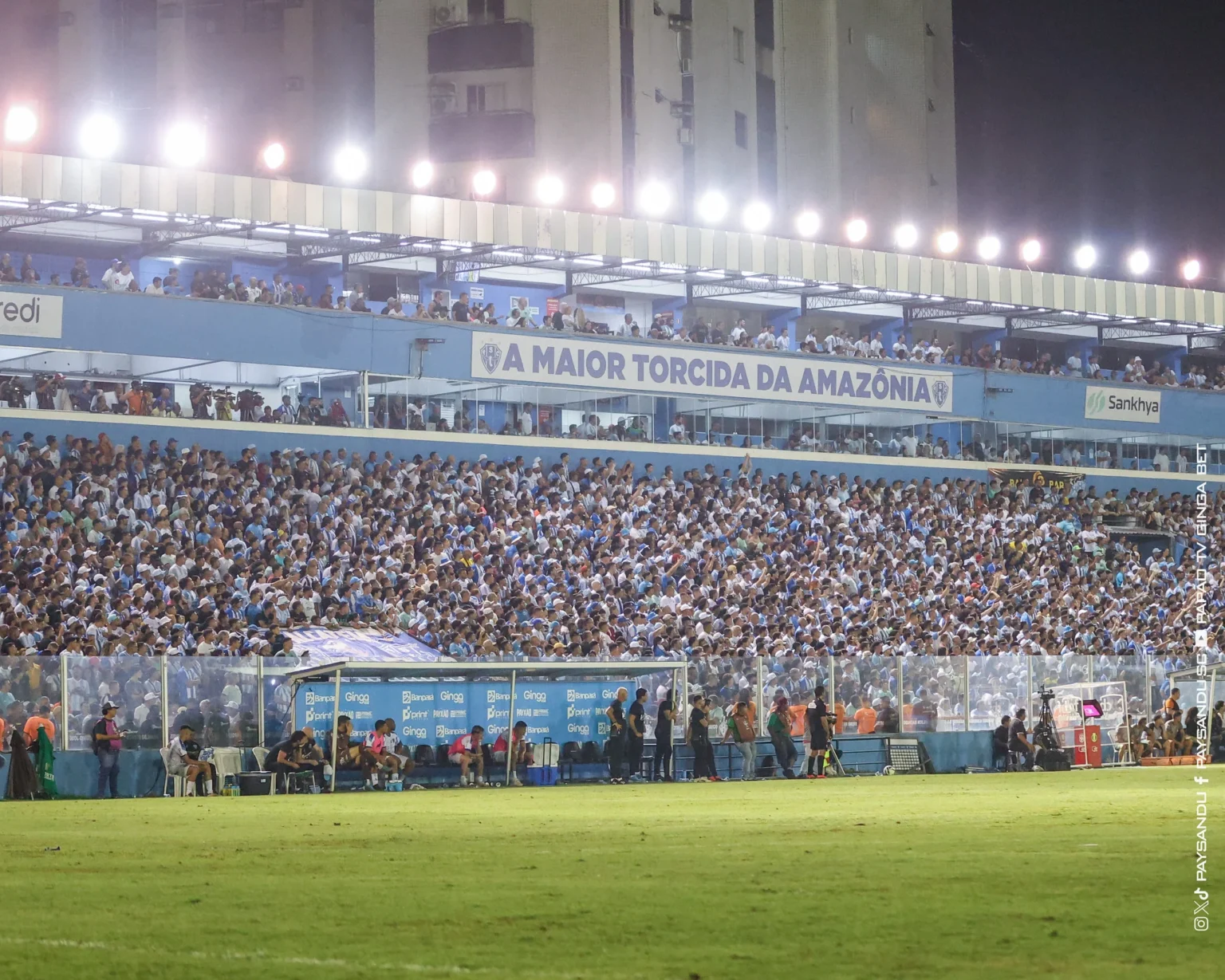 Paysandu é o único clube do Pará em ranking histórico de público do Brasileirão
