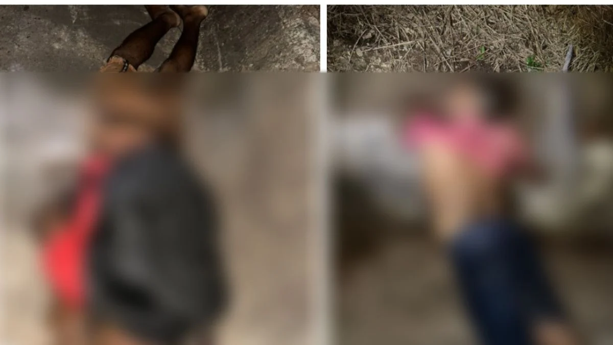 Polícia Civil encontra dois homens mortos a tiros em Novo Progresso