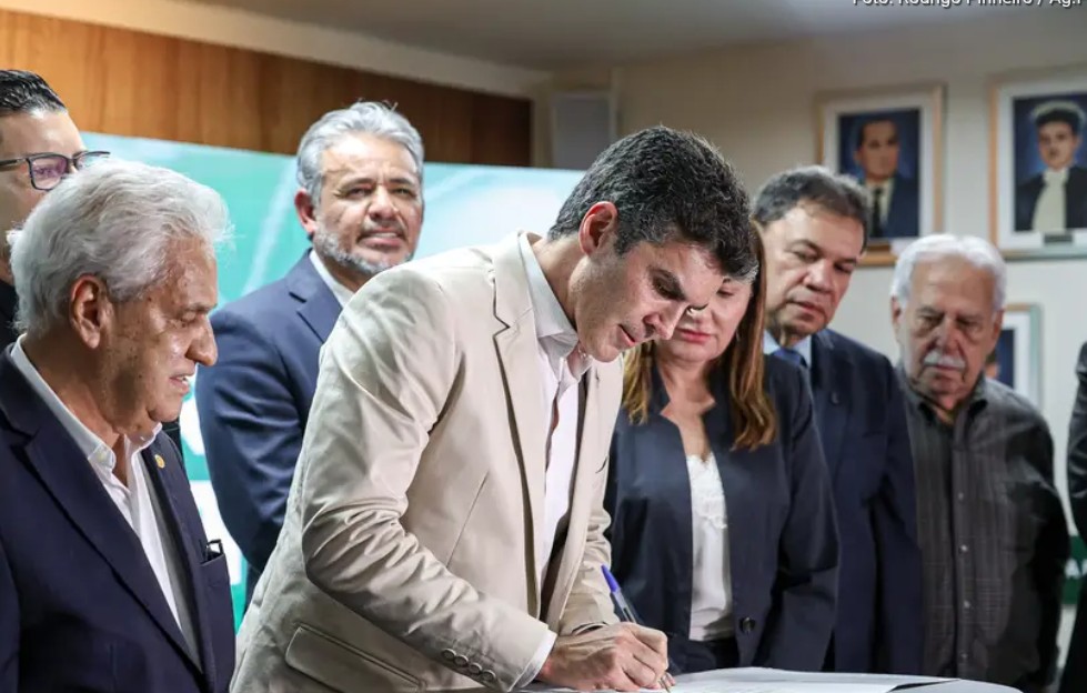 Decreto do governador amplia o prazo para a rastreabilidade de bovinos e bubalinos no estado