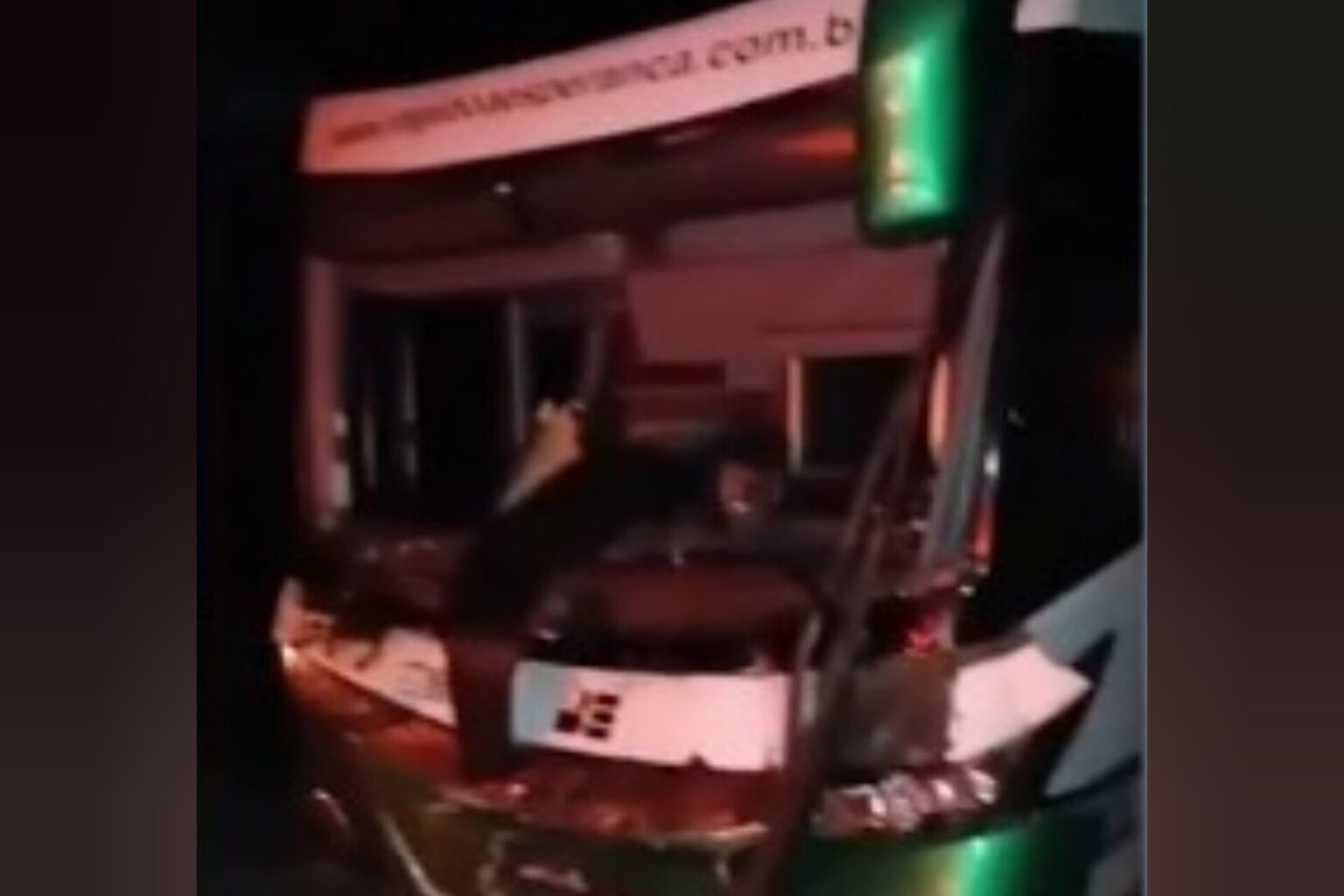 Ônibus colide com vaca na PA-150 entre Jacundá e Goianésia do Pará