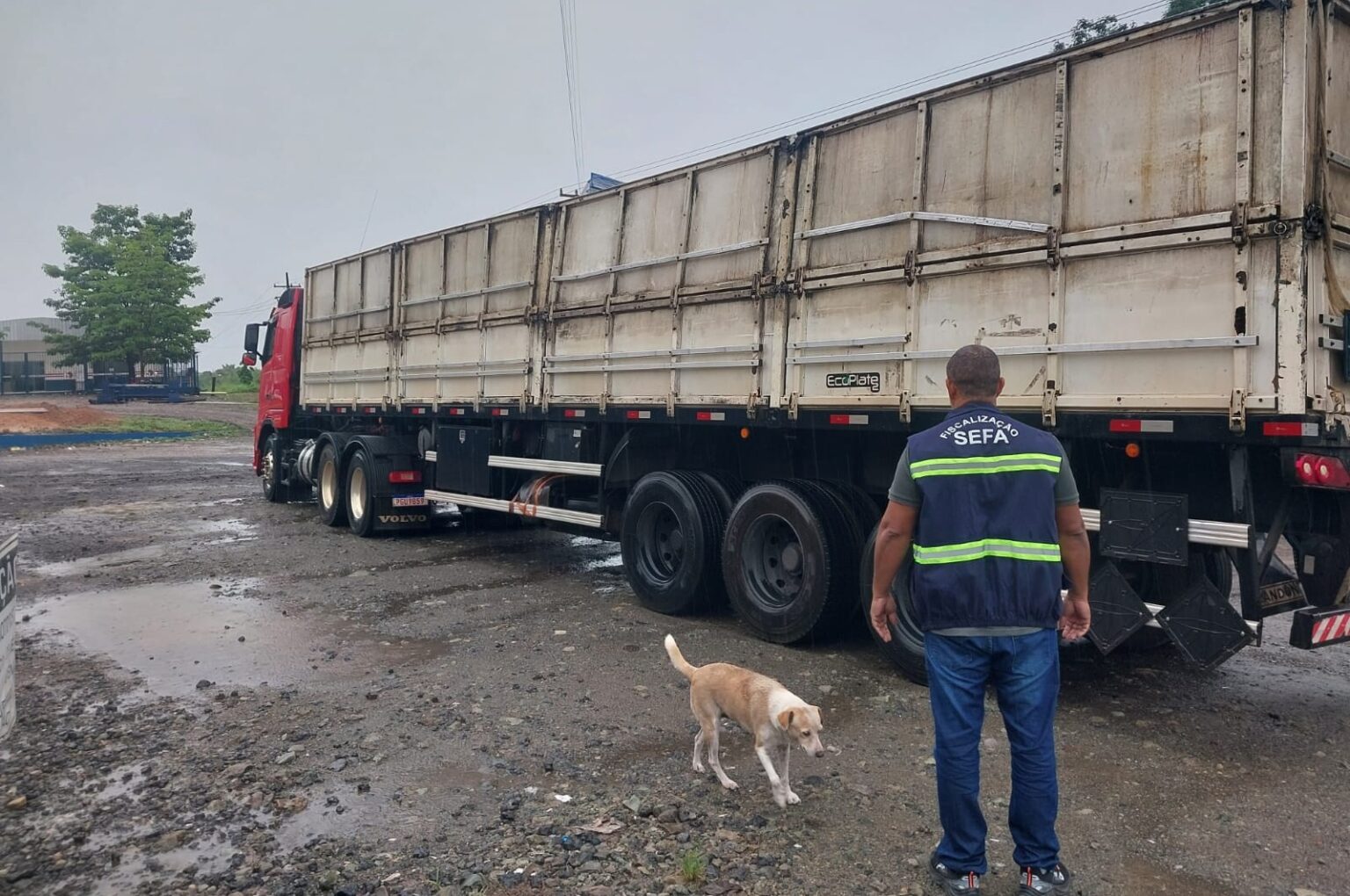 Sefa apreende carga irregular avaliada em R$ 247 mil com destino a Marabá