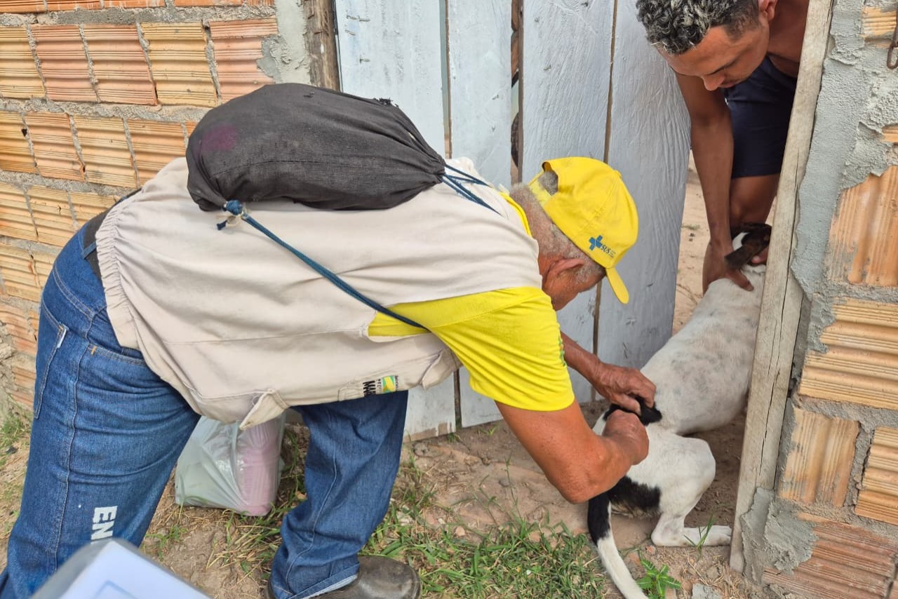 Prefeitura de Marabá encerra Campanha Antirrábica com mais de 30 mil animais vacinados