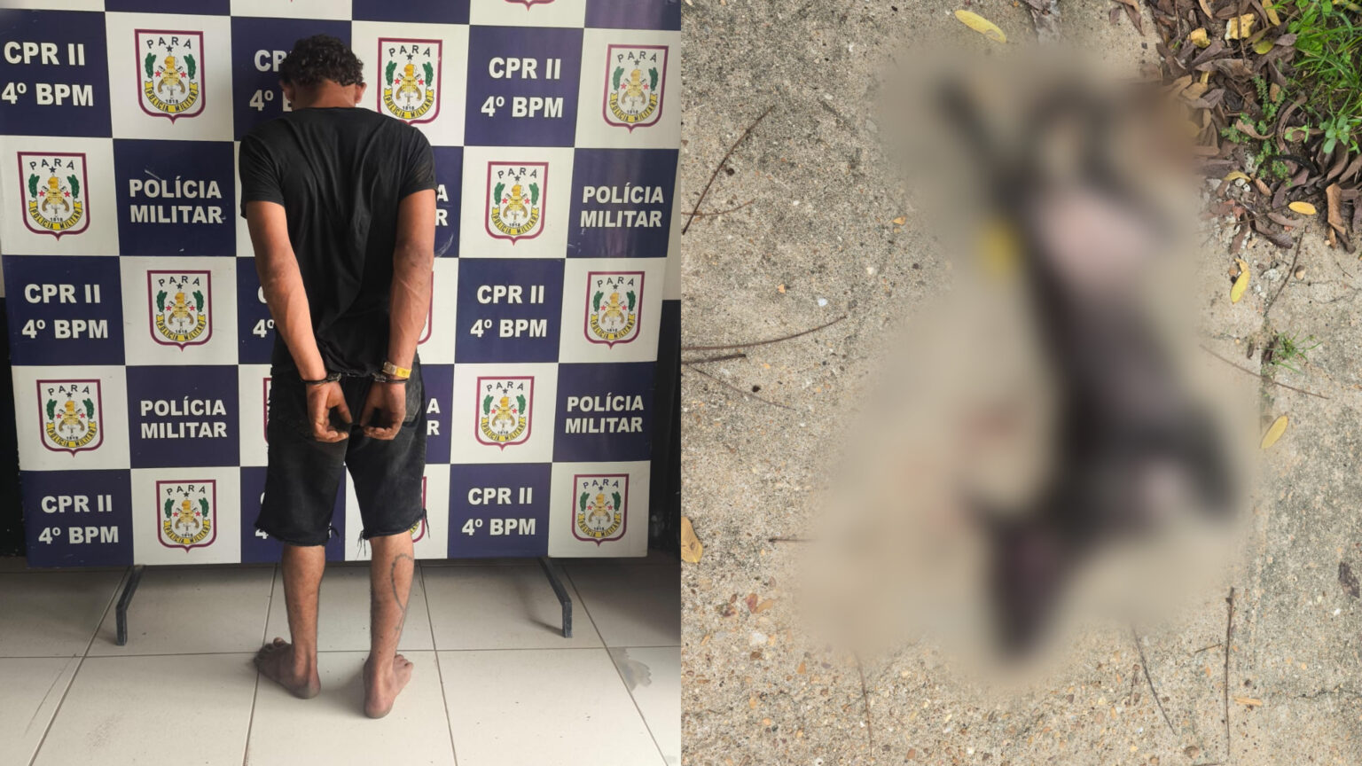 Cachorro é morto a marteladas e suspeito é preso em Marabá
