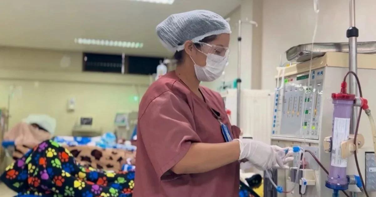 Governo turbina bolsas de estudos de residentes da saúde no Pará