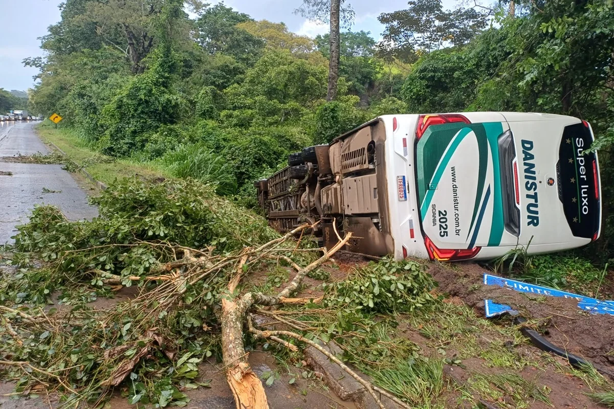 Ônibus com destino ao Pará tomba na BR-153, em Goiás