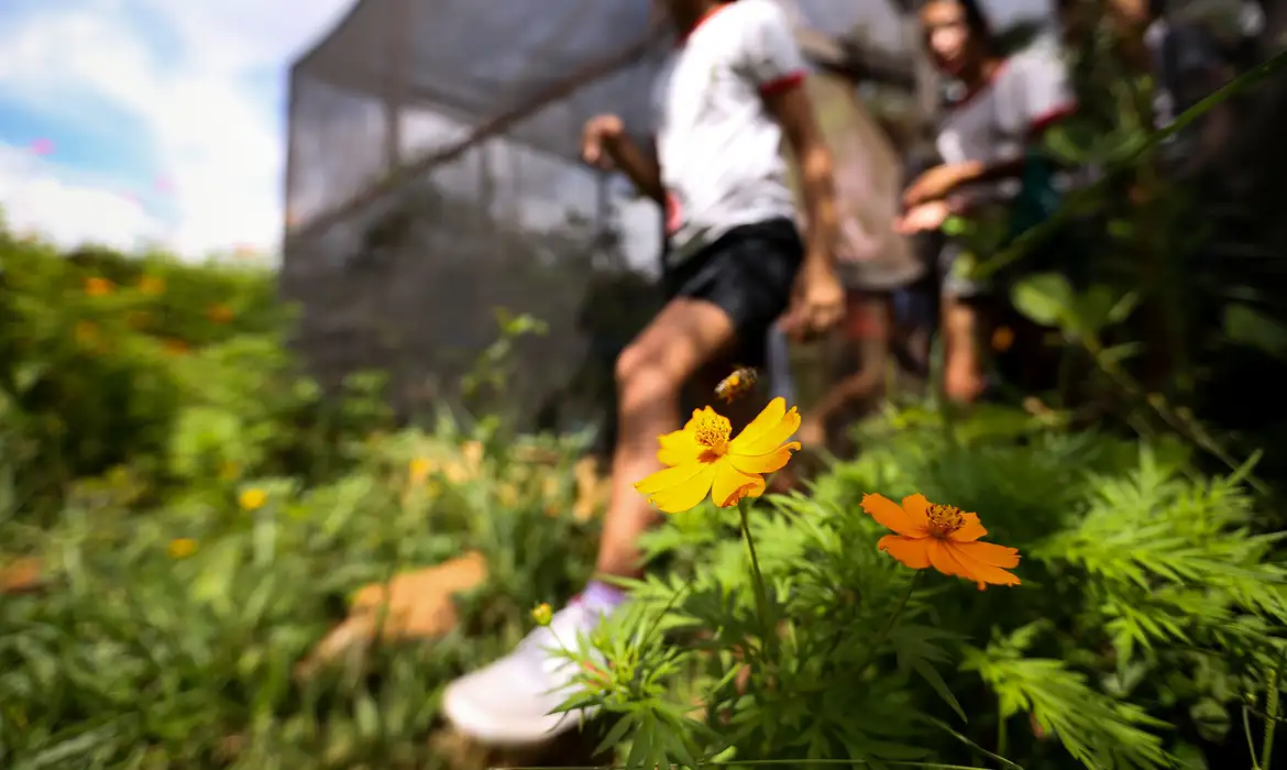 Dia da Educação Ambiental destaca iniciativas de conscientização