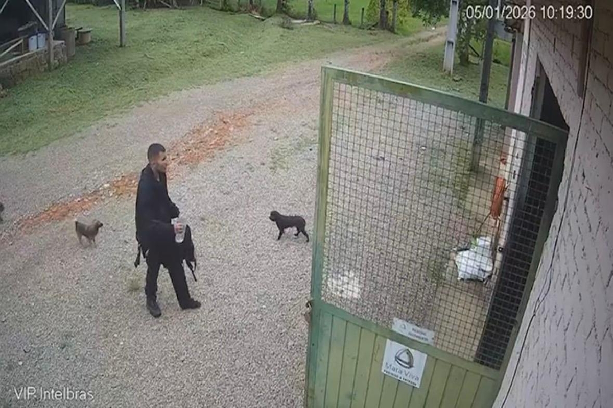 Jovem desaparecido após trilha no Pico Paraná reaparece em fazenda de Antonina