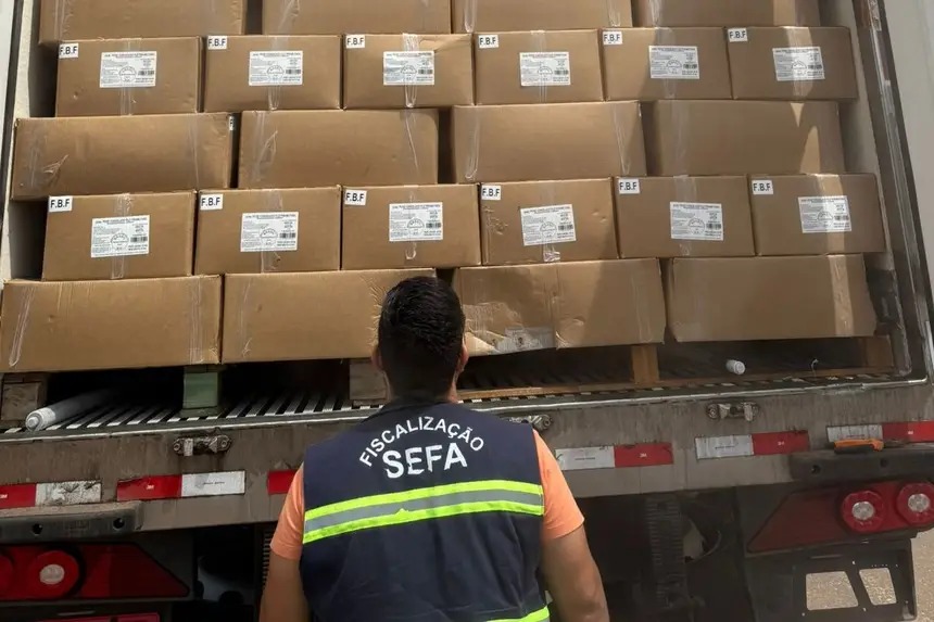 Sefa apreende carga de drones destinada a Eldorado dos Carajás e pescado em Dom Eliseu