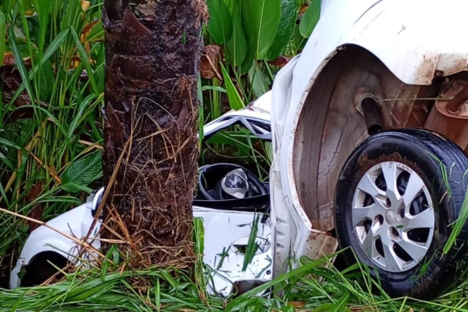 Polícia identifica motorista que morreu em acidente no Núcleo São Félix, em Marabá
