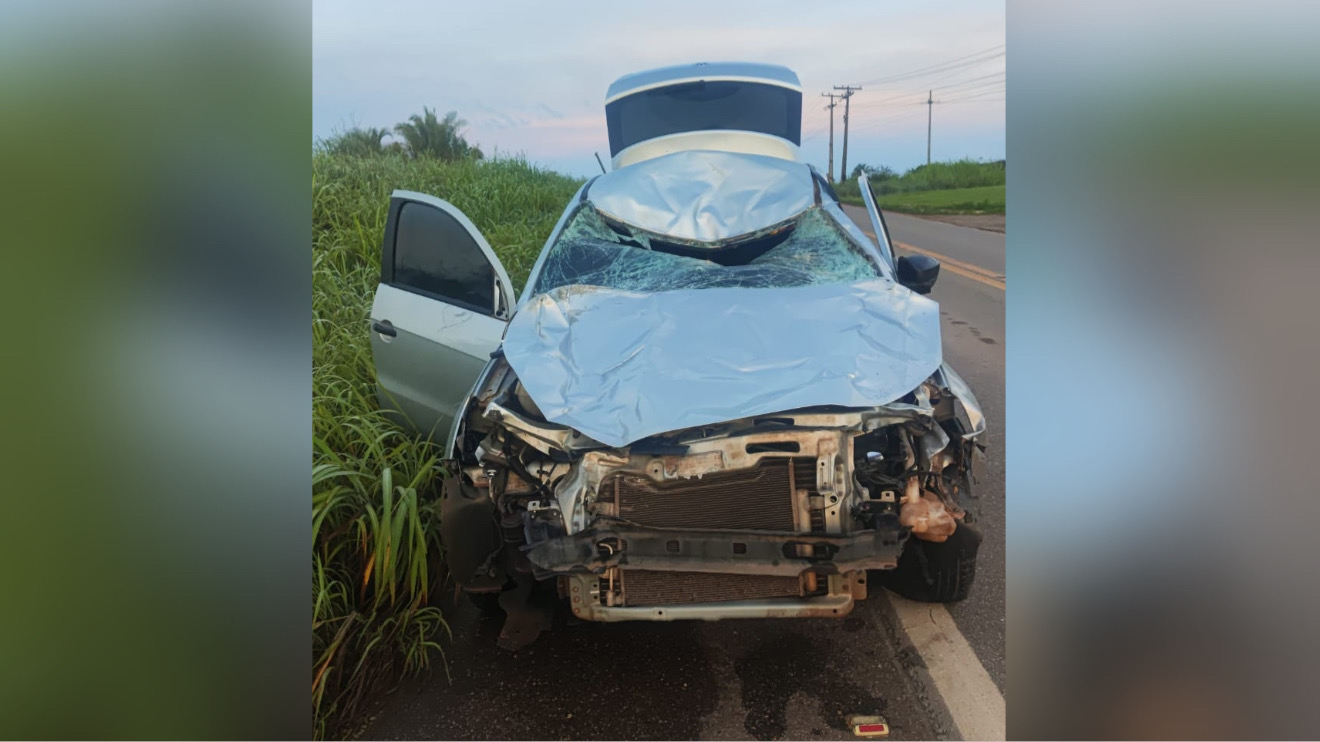 Gado solto na pista provoca acidente na BR-230 em Marabá