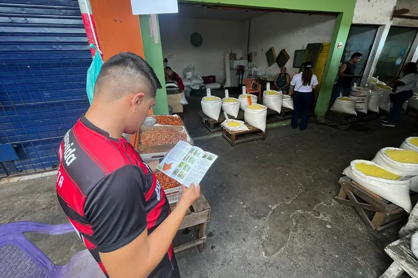 Produtores recebem orientações para proteger a mandiocultura no Pará