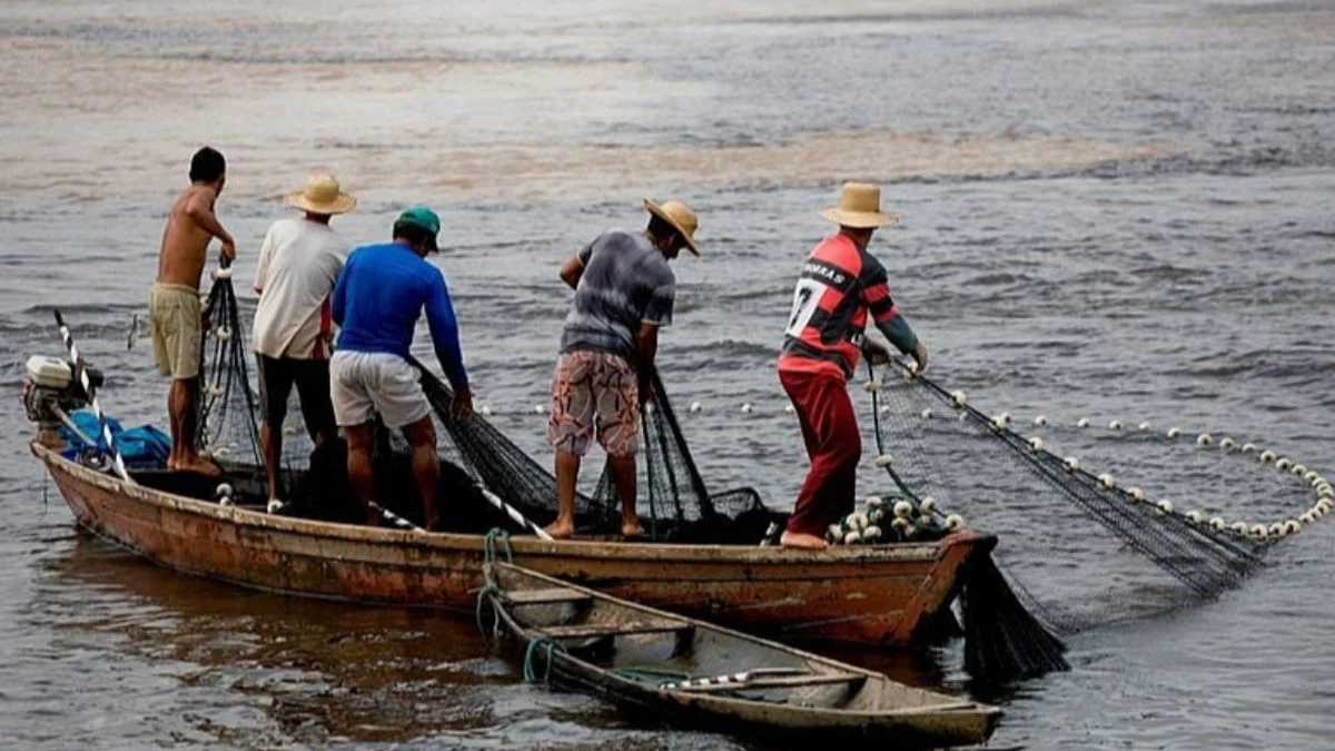 Cancelamento em massa atinge pescadores e inclui nomes do Pará; veja a lista completa
