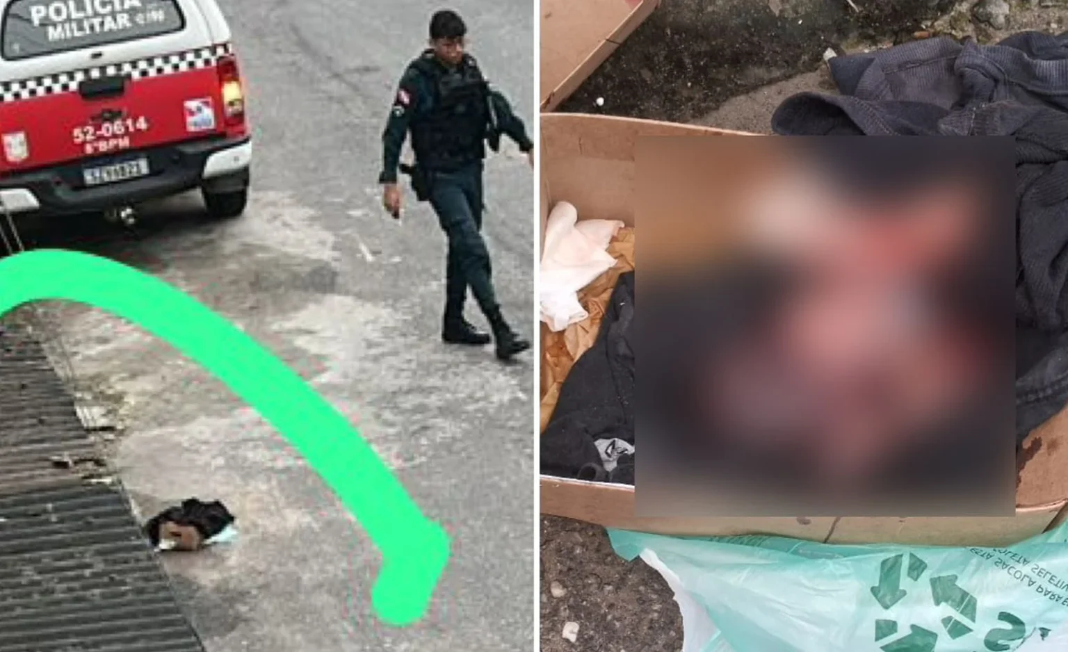 Feto é encontrado após cachorro rasgar saco de lixo no Pará