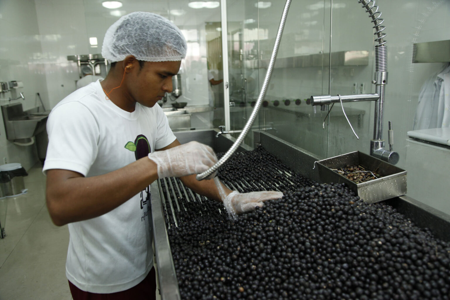 Após mortes por doença de Chagas, MP fiscaliza pontos de açaí no Pará