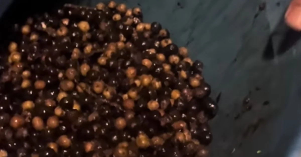 Açaí estragado e caroço jogado na baía geram operação no Pará