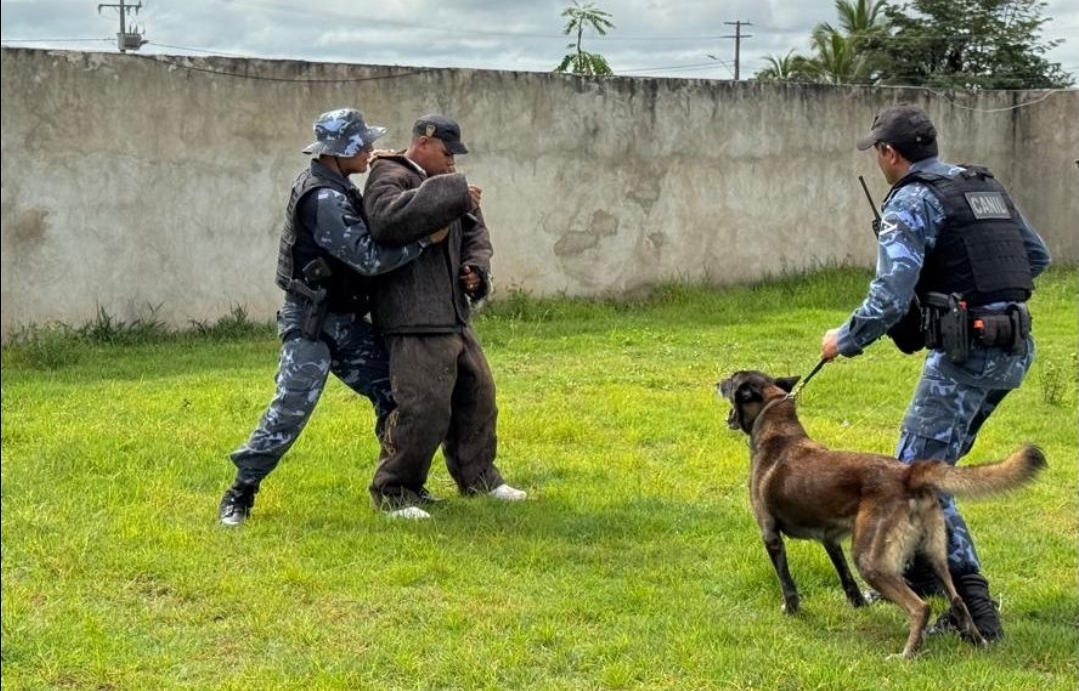 Marabá: Grupamento de Operações com Cães da Guarda Municipal completa 13 anos