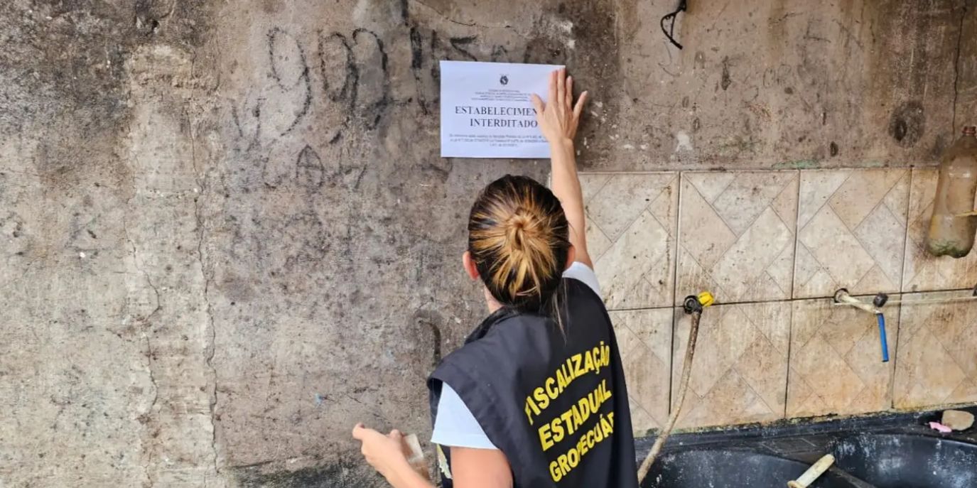 Abatedouros clandestinos são interditados e carne imprópria é apreendida em Paragominas
