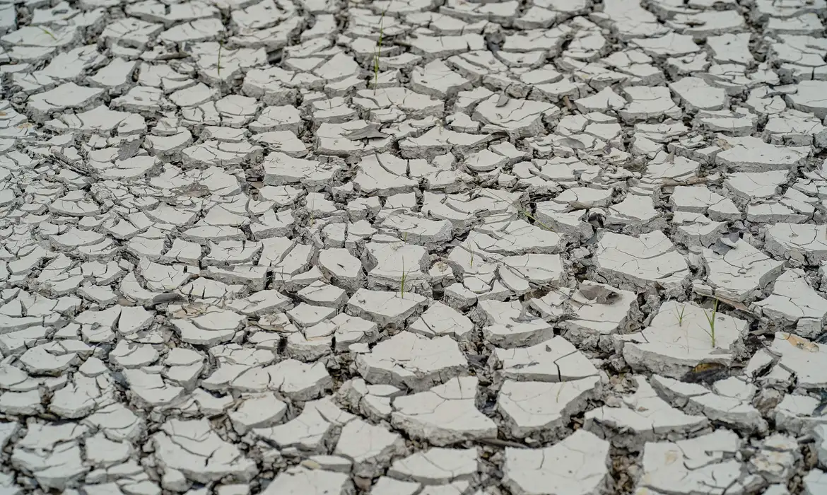 Estiagem: quinze cidades têm situação de emergência decretada