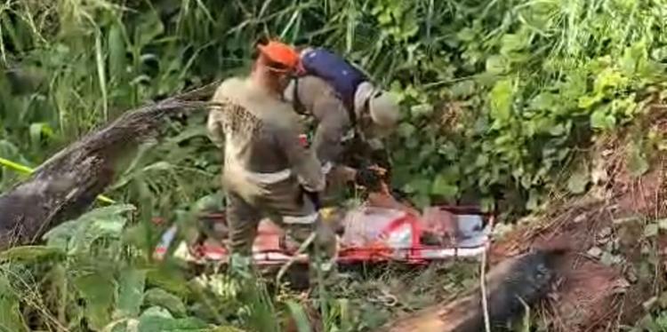 Idoso de 93 anos é resgatado após cinco dias perdido em área de mata em Novo Progresso