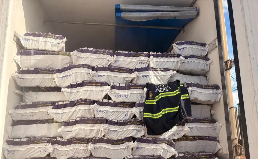 Sefa apreende mais de 40 toneladas de açaí congelado em Dom Eliseu