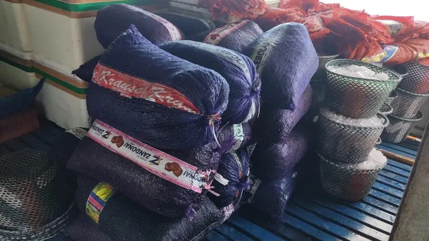 Policiais identificam transporte irregular de mais de 50 toneladas de açaí no Pará