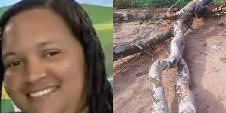 Missionária morre após ser atingida por árvore na zona rural de Uruará