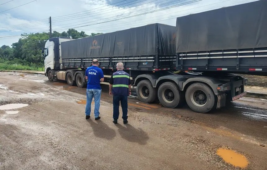 Sefa apreende mais de 17 toneladas de mel de abelha no Pará
