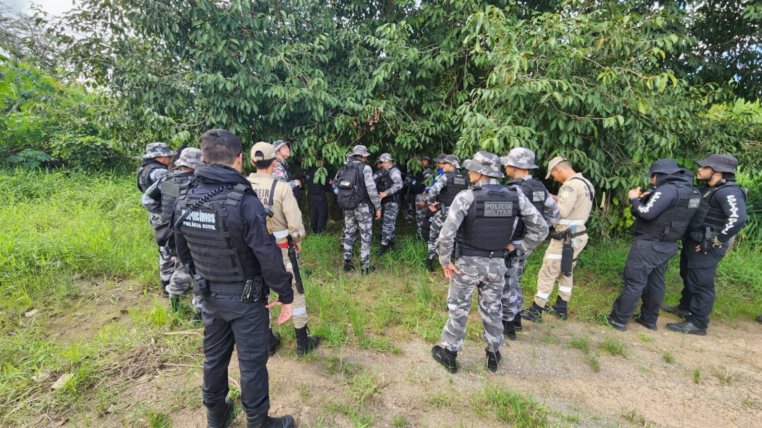Forças de segurança fazem operação em mata de Marabá para localizar adolescente desaparecido desde dezembro