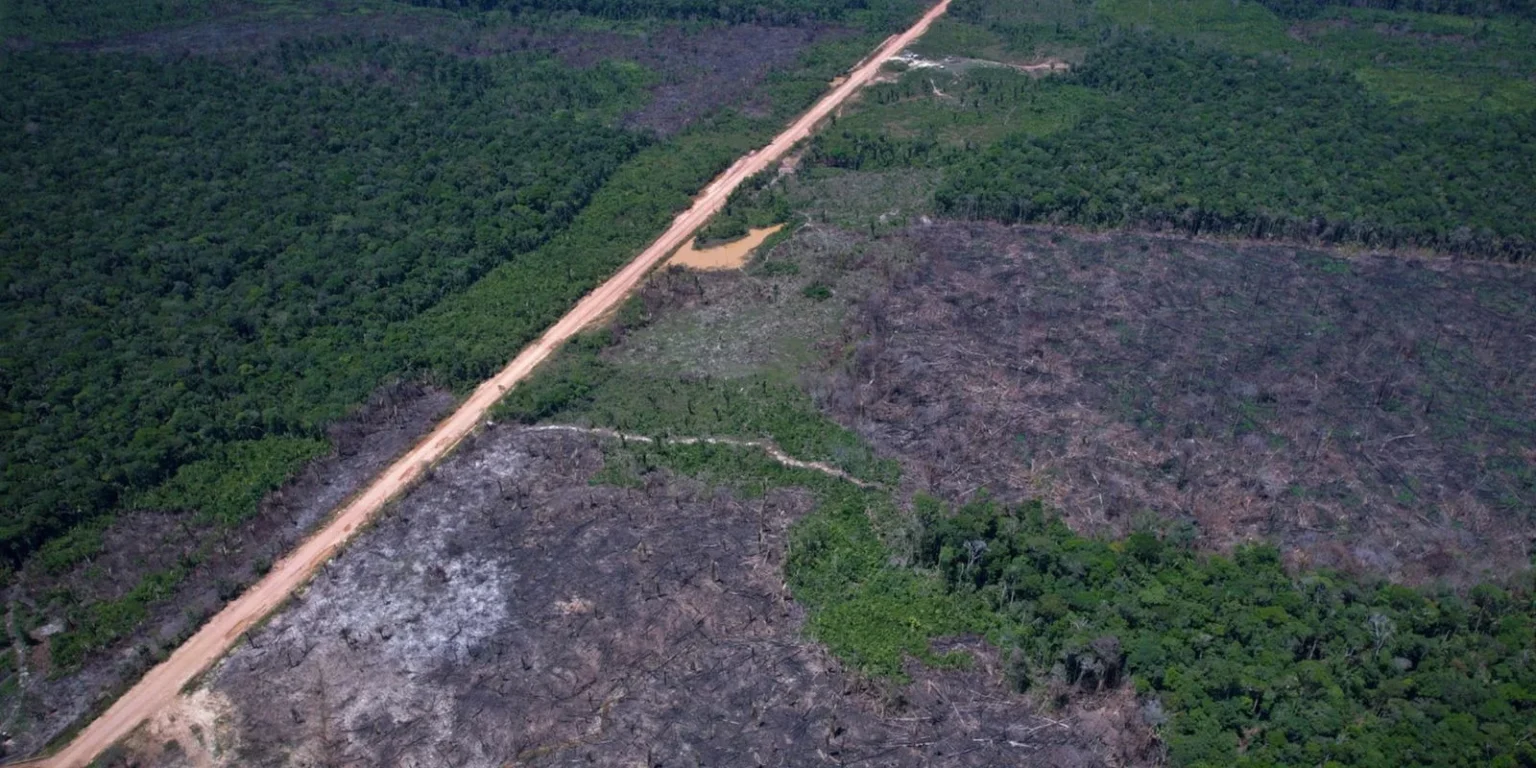 Desmatamento na Amazônia cai no início de 2026, mas alta em março acende alerta
