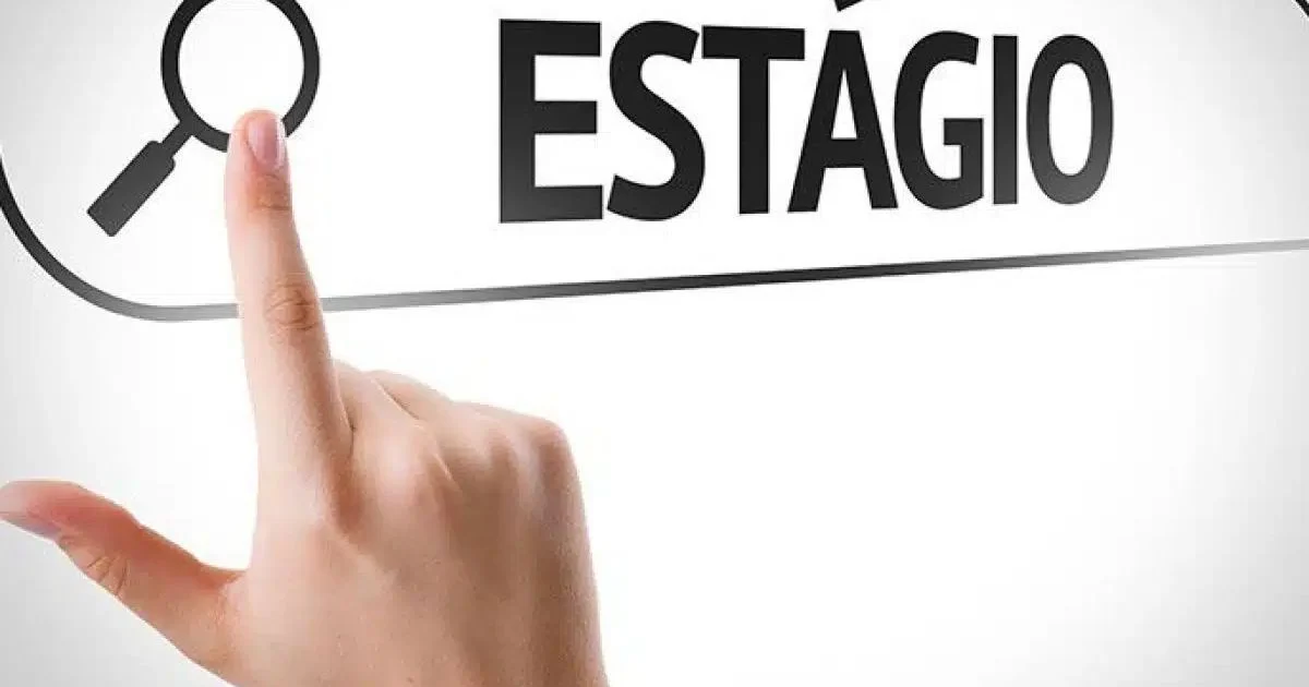 Pará tem 82 vagas de estágio disponíveis para ensino médio e superior; confira