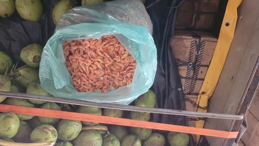 Sefa apreende nove toneladas de camarão no Pará