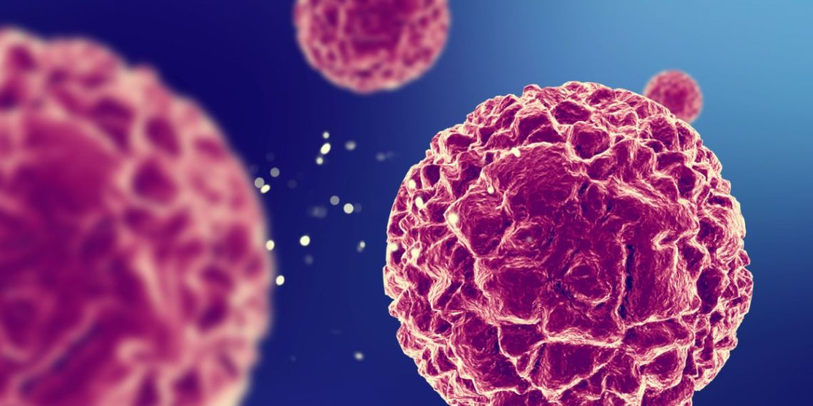 Vacina em estudo demonstra eficácia contra células tumorais ligadas ao HPV
