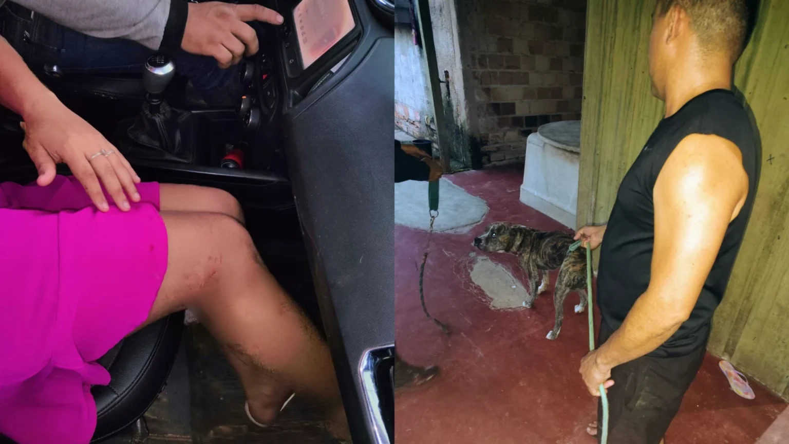 Polícia Militar resgata mulher e crianças após ataque de pit bull no sudeste do Pará