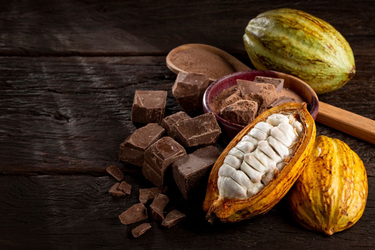 Chocolate com amêndoa de cacau de terra indígena do Pará é premiado na França