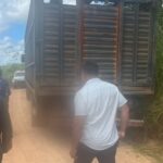 PM recupera em Itupiranga madeira furtada que seria levada para fazenda em Marabá