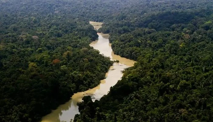 Câmara aprova redução de área protegida da Flona do Jamanxim, no Pará