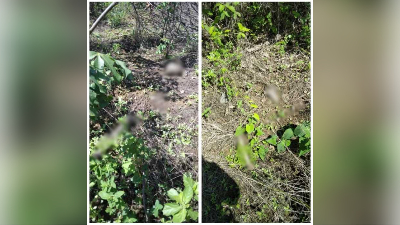 Ossada humana encontrada em Marabá: veja o que já se sabe sobre o caso