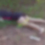 Mulher é encontrada morta com marcas de tiros na PA-253