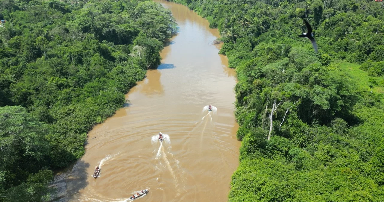 Fiscalização impede centenas de crimes ambientais nas florestas de Carajás