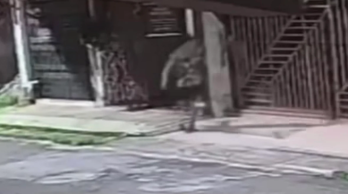 Criminosos invadem casa e ameaçam família no Pará